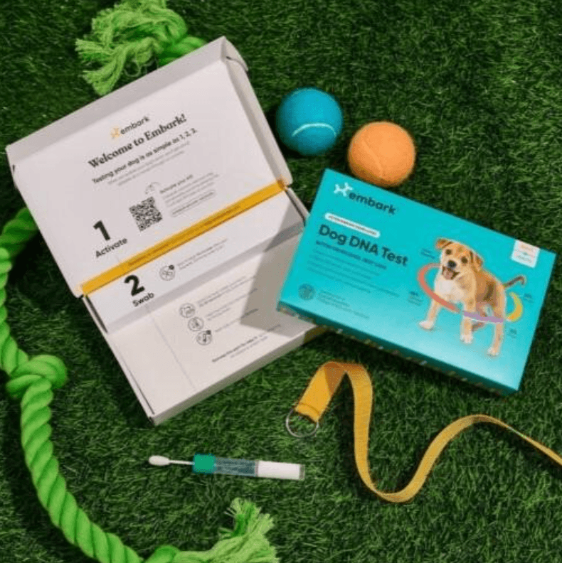 dog dna testing